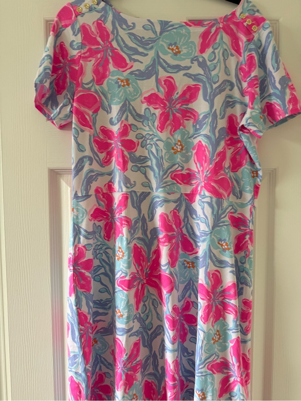 Lilly Pulitzer Pink and Aqua Floral Cotton Dress